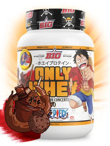 BIG Whey Protein One Piece 1Kg. (Choco One)